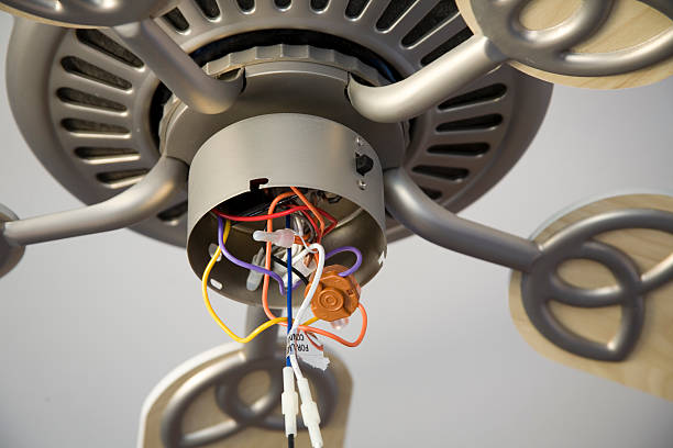 Ceiling Fan Repair Near Me in Tampa, Florida – Homeowner Guide